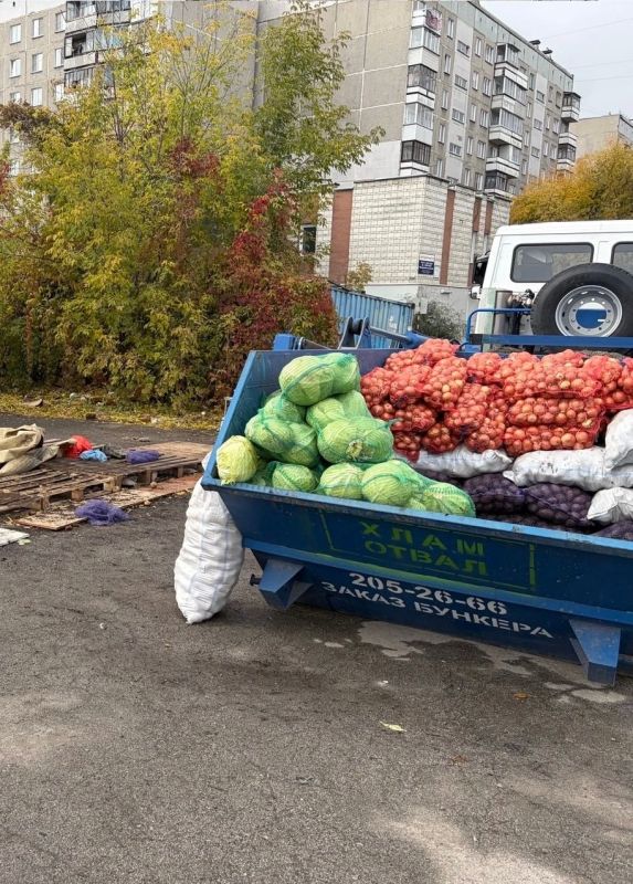 В Новосибирске изъяли более семи тонн продукции у нелегальных торговцев В Новосибирске изъяли более семи тонн продукции у нелегальных торговцев
