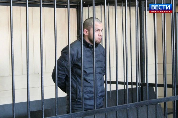 Жестокая расправа. Суд в Новосибирске приступил к рассмотрению дела об убийстве трёхлетней девочки и истязании её матери