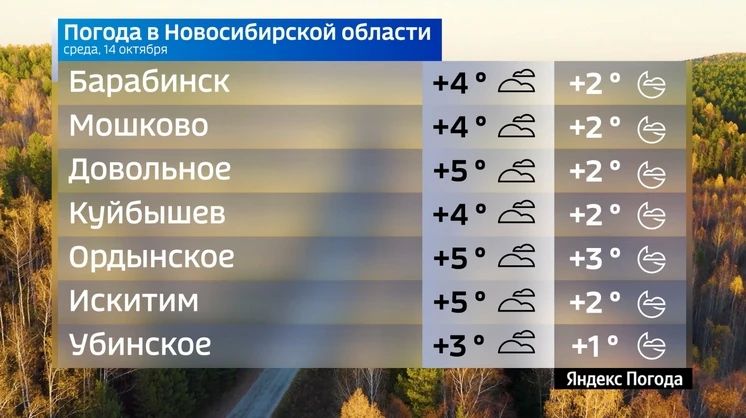Прогноз погоды на 14 октября 2026 года в Новосибирской области Прогноз погоды на 14 октября 2026 года в Новосибирской области