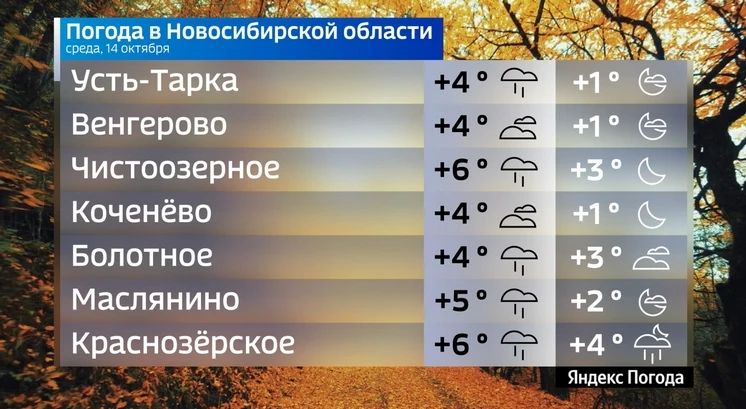 Прогноз погоды на 14 октября 2026 года в Новосибирской области Прогноз погоды на 14 октября 2026 года в Новосибирской области