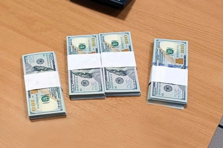 Любимый пес Агаты Кристи нашел $39 тысяч на рейсе «Новосибирск-Душанбе»