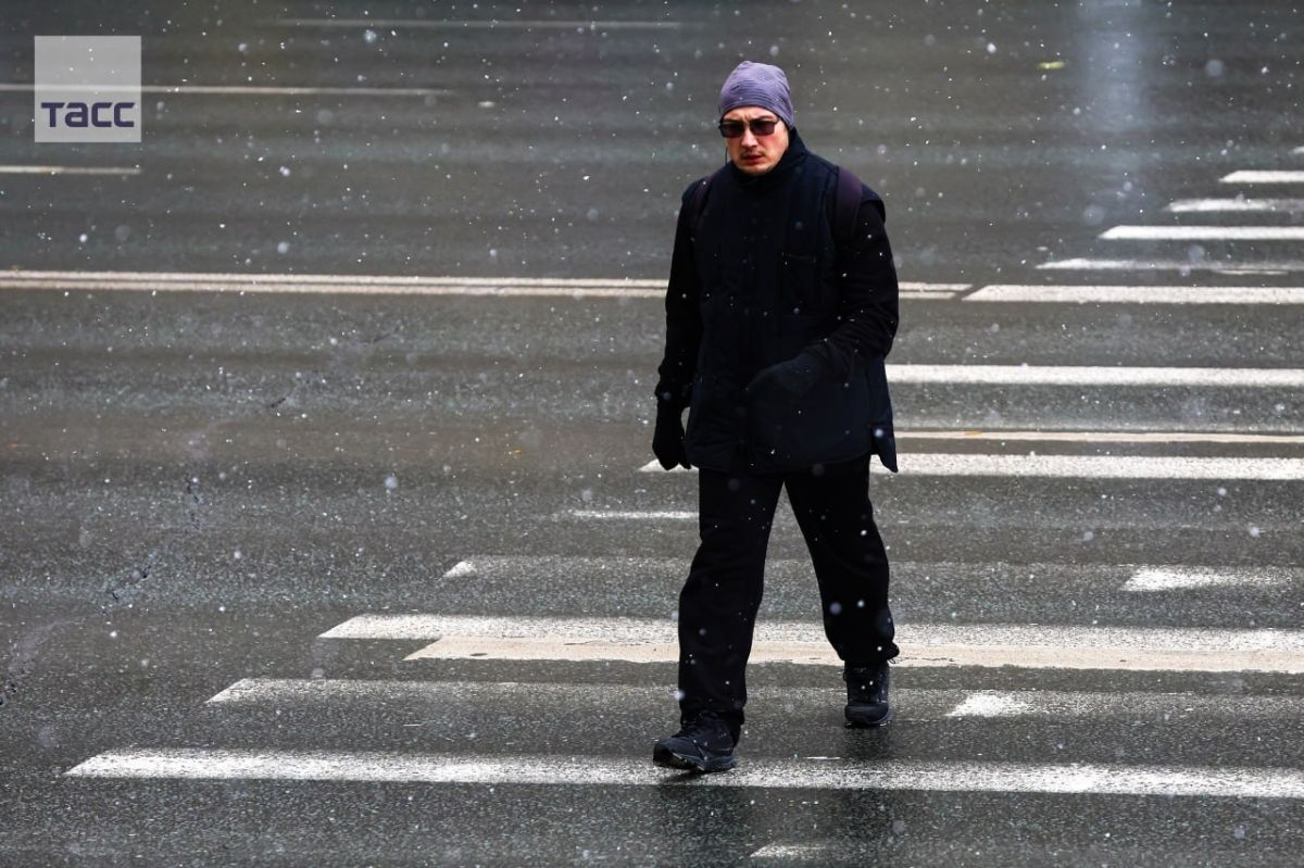 #галерея_ТАСС_Сибирь. Снег в Новосибирске в объективе фотокорреспондента ТАСС #галерея_ТАСС_Сибирь. Снег в Новосибирске в объективе фотокорреспондента ТАСС