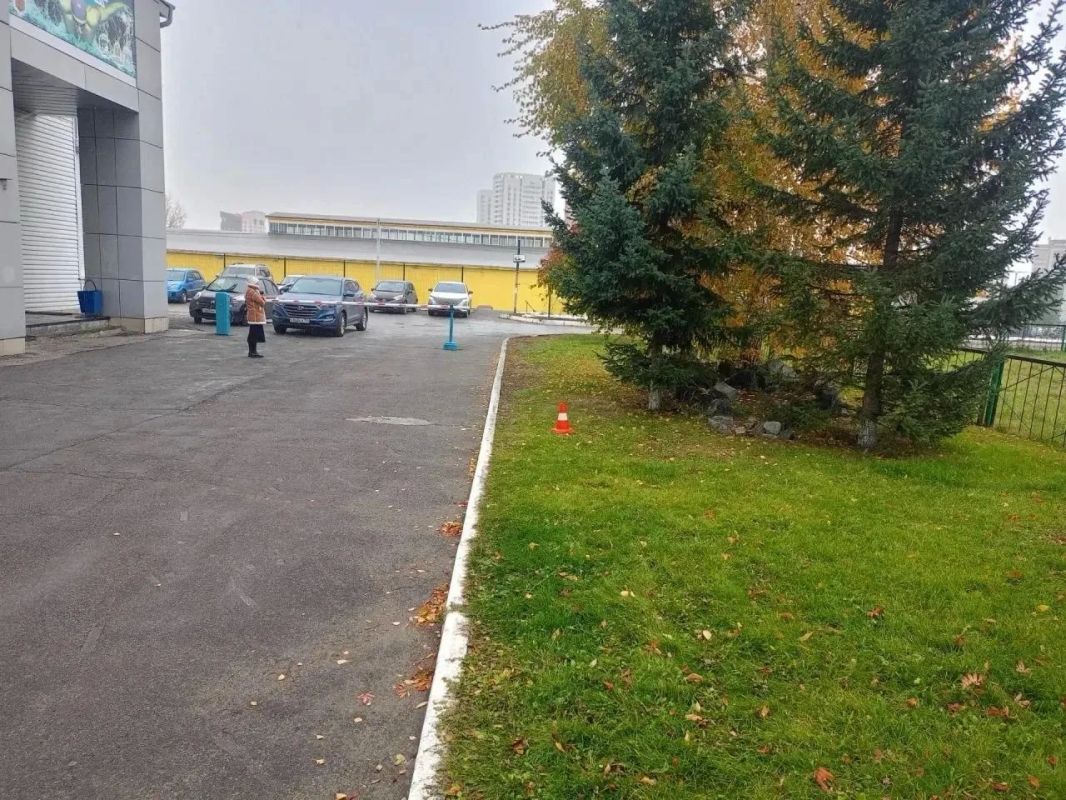 В Кировском районе Новосибирска мальчик на мопеде наехал на женщину на газоне