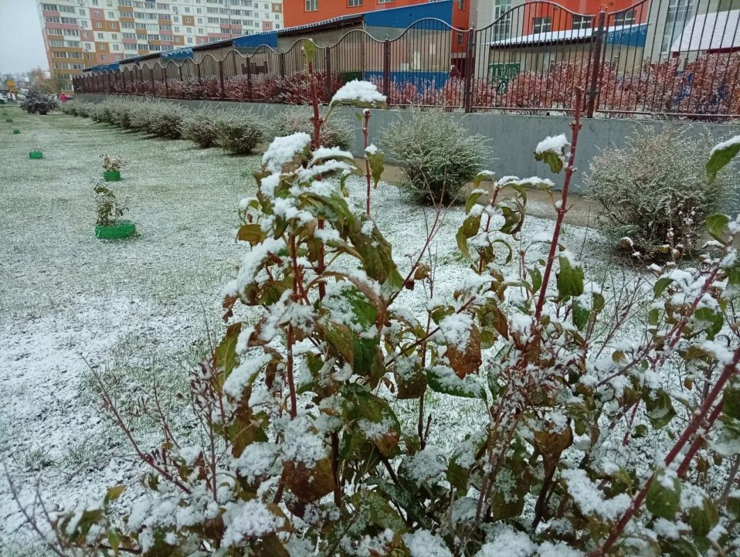 Сейчас столбики термометров показывают всего +1°, хотя они ощущаются как –4°
