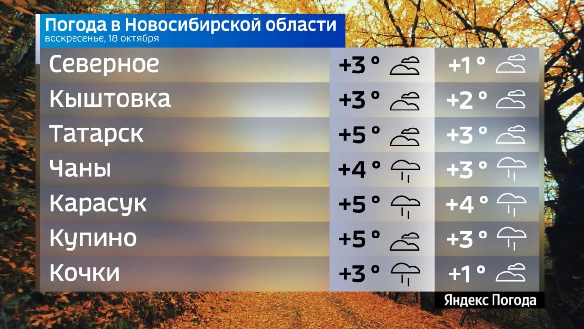Прогноз погоды на 18 октября 2026 года в Новосибирской области Прогноз погоды на 18 октября 2026 года в Новосибирской области