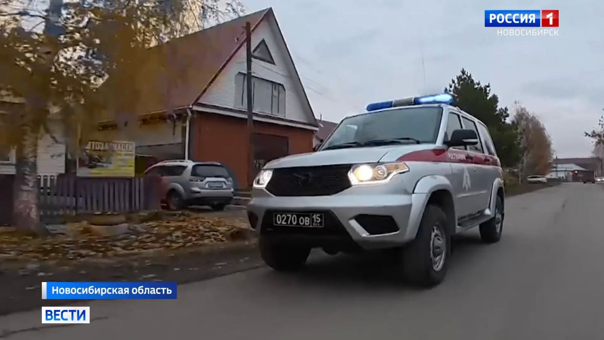 Ситуация с медведями. В Куйбышевском районе Новосибирской области по вечерам на улицах слышны призывы не выходить из дома в тёмное время суток