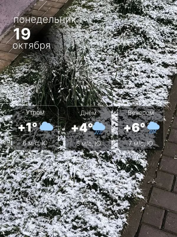 Ясно и без осадков. Утром столбики термометров покажут +1°C, однако из-за южного ветра, ощущаться будет немного прохладнее — около 0°C