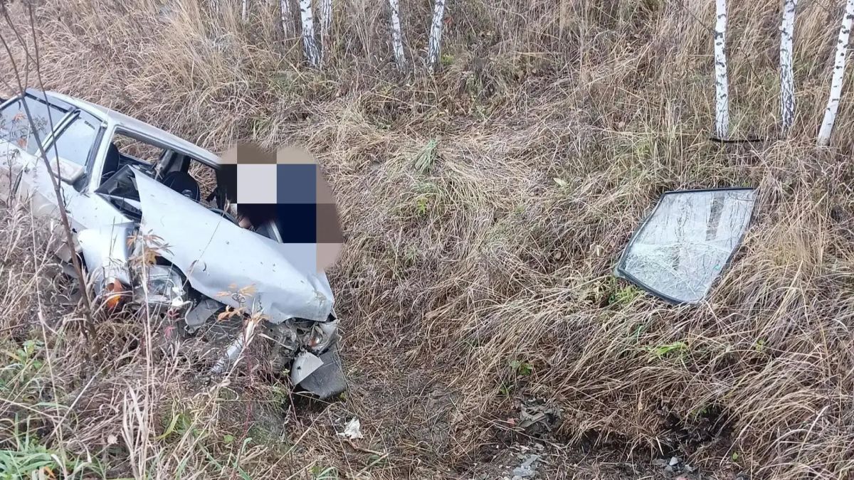 Машина перевернулась в кювет в Новосибирской области: водитель погиб на месте