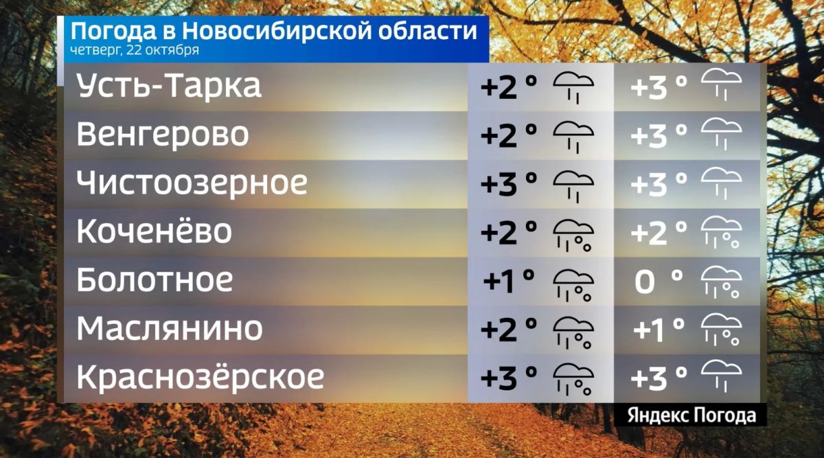 Прогноз погоды на 22 октября 2026 года в Новосибирской области Прогноз погоды на 22 октября 2026 года в Новосибирской области