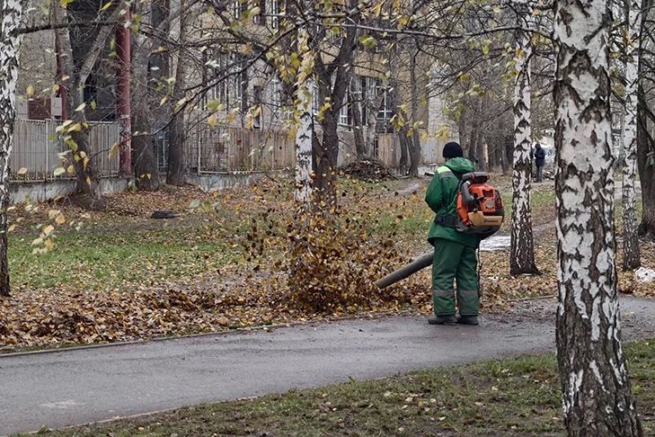 Тепло вернется в Новосибирск в день Ефимия Осеннего 28 октября