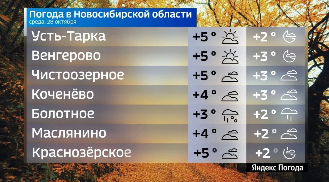 Прогноз погоды на 28 октября 2026 года в Новосибирской области Прогноз погоды на 28 октября 2026 года в Новосибирской области