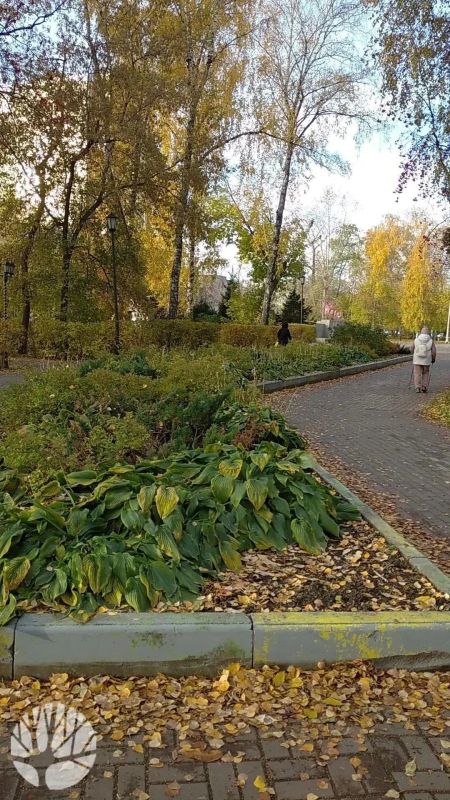 В городских парках готовят растения к зиме В городских парках готовят растения к зиме