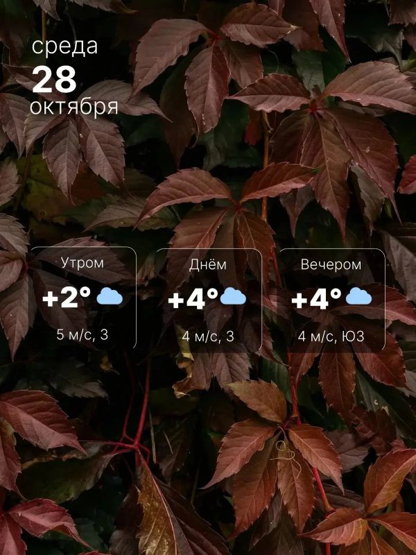 Пасмурно, но без осадков. Утром столбики термометров покажут +2°, однако из-за ветра западного направления (5 м/с) температура будет ощущаться как -3°
