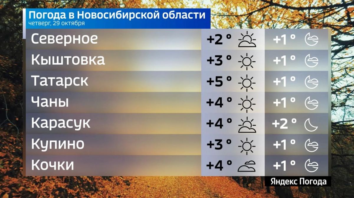 Прогноз погоды на 29 октября 2026 года в Новосибирской области Прогноз погоды на 29 октября 2026 года в Новосибирской области