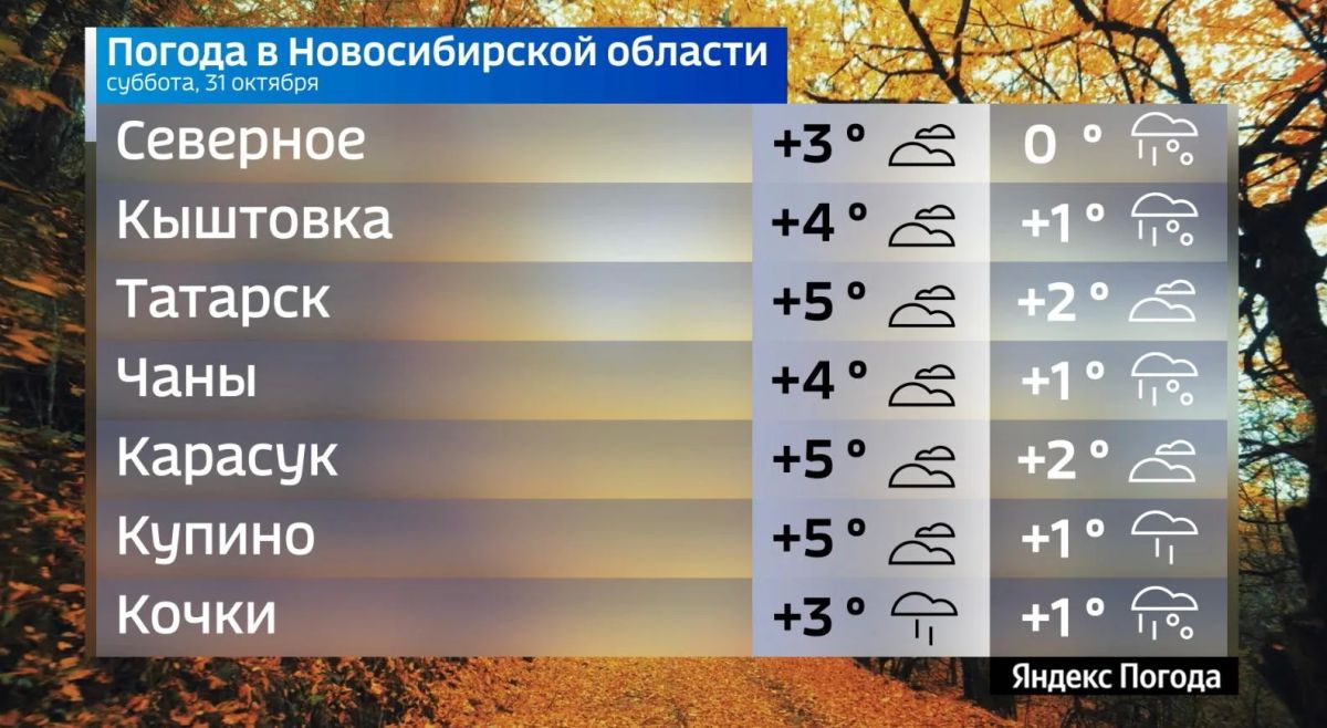 Прогноз погоды на 31 октября 2026 года в Новосибирской области Прогноз погоды на 31 октября 2026 года в Новосибирской области
